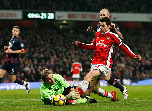 已成为他们 已成为他们